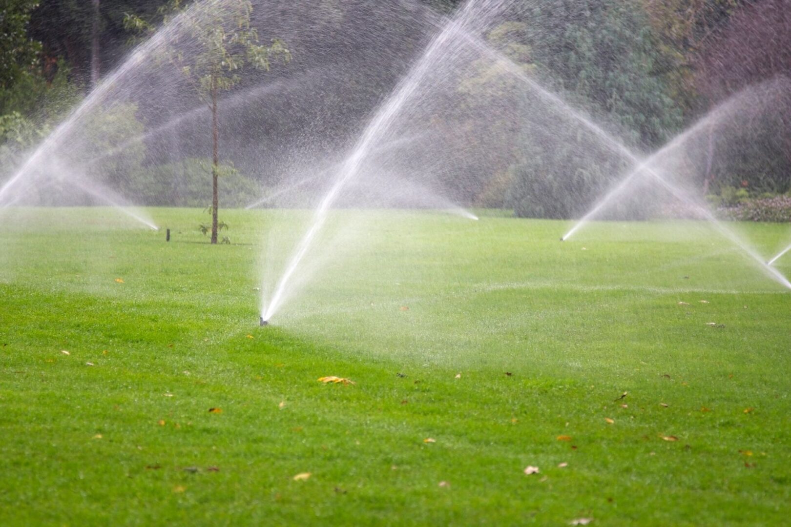 fm=f_7849 A field with sprinklers spraying water on it.
