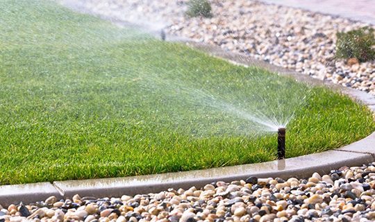 A lawn that has been sprinkled with water.