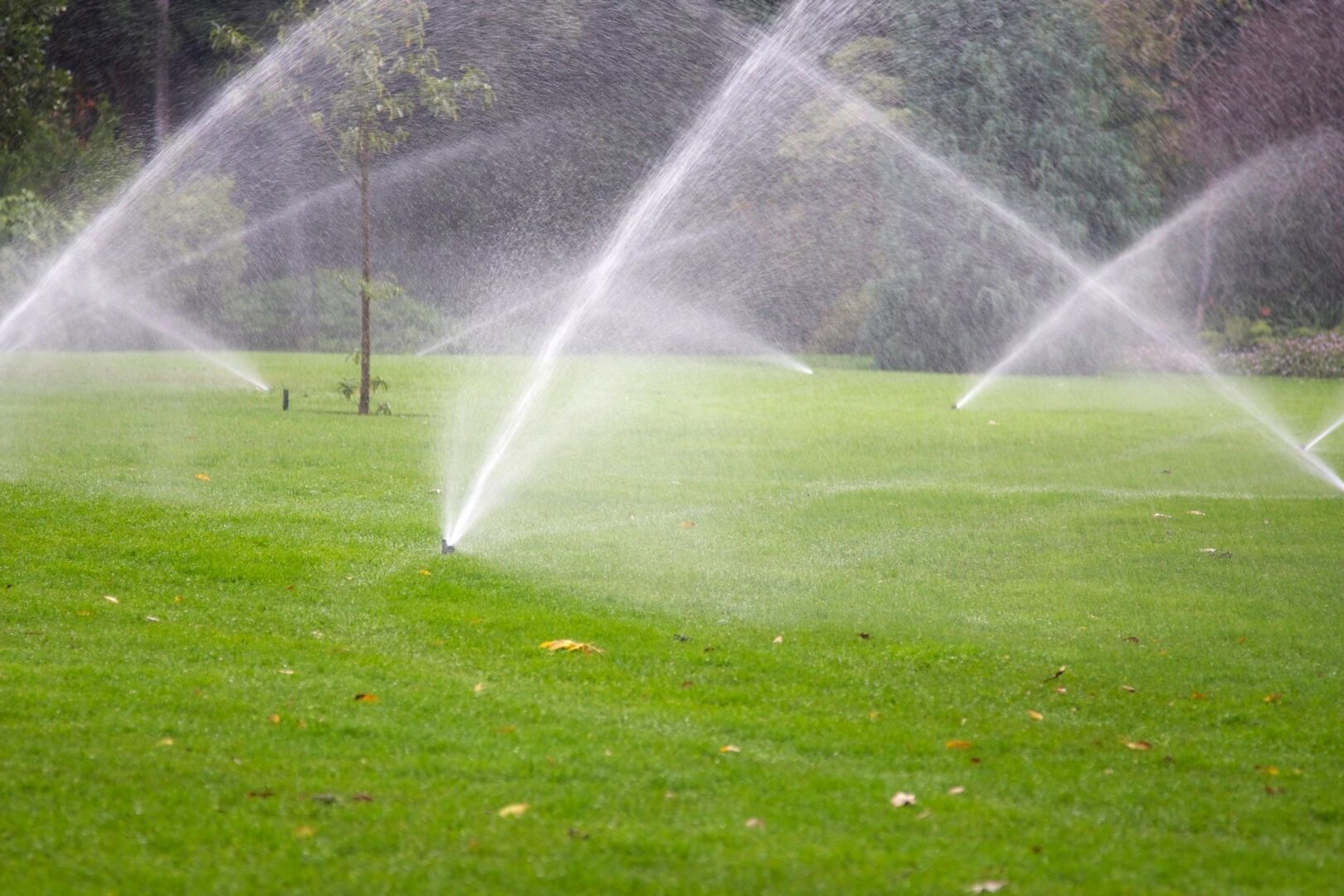 A field with sprinklers spraying water on it.