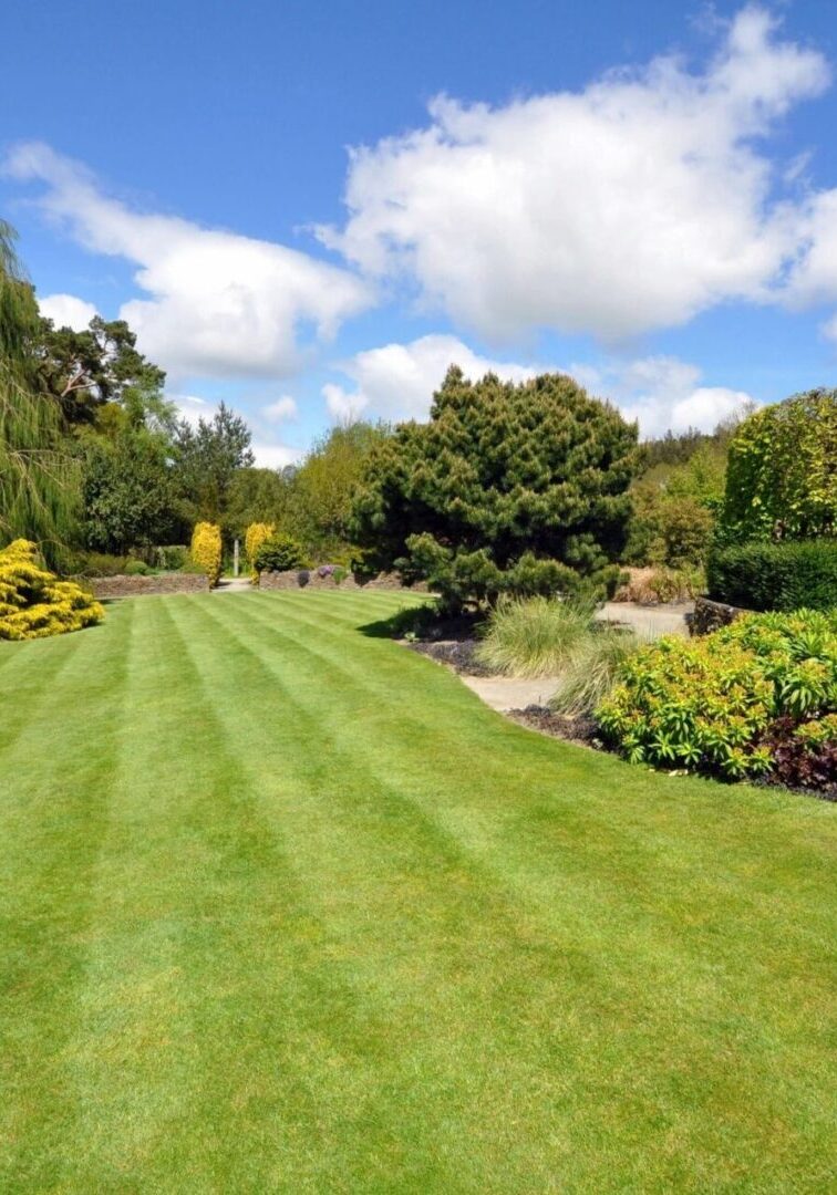 fm=f_1346.jpg_1682621370 A lawn with grass and trees in the background.