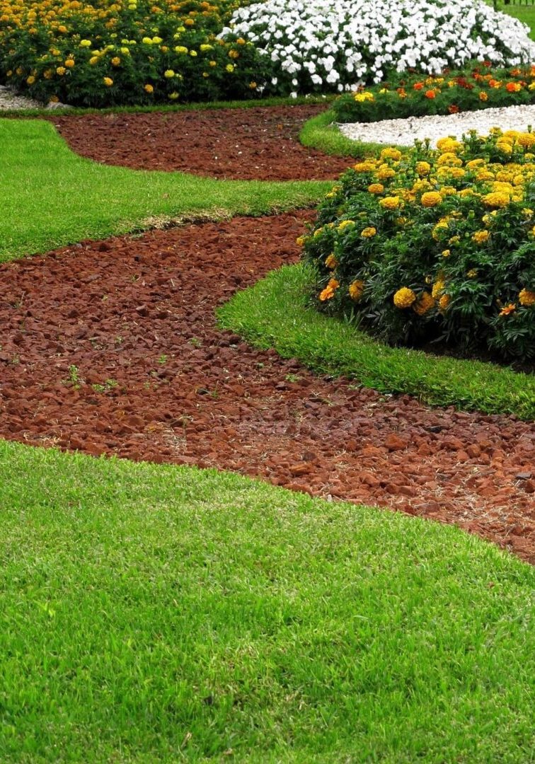 fm=f_526.jpg_1682621350 A garden with many flowers and grass